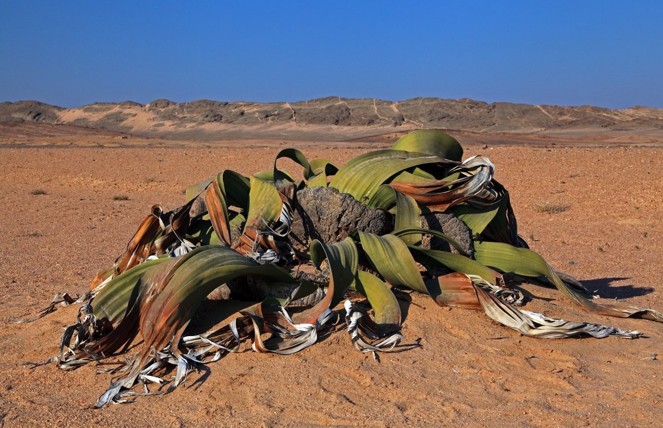 Illinois visual data 7