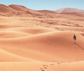 Viaggio nel Deserto del Nefud