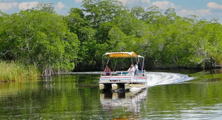 Black River Safari
