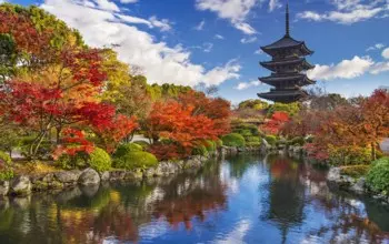 Giappone Foliage
