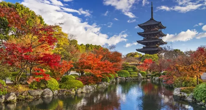 Giappone Foliage