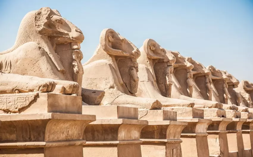 Sfingi Amon Ra